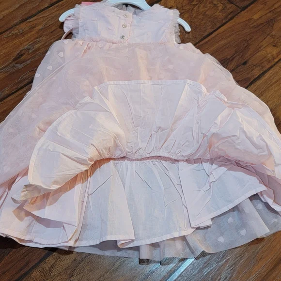 Isaac Mizrahi Valentine's dress - Picture 9 of 9